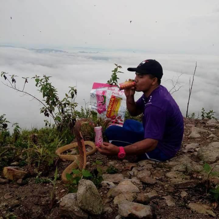 14695400_1264531556901562_1586836481404751905_n